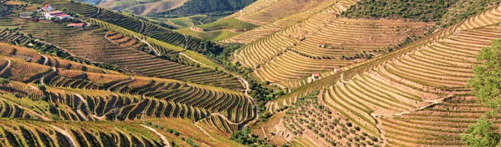 i Stock Douro.jpg